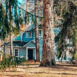 Фото Отель Vyritsa Village ( Вилладж)