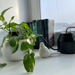 1-комнатные апартаменты улучшенные