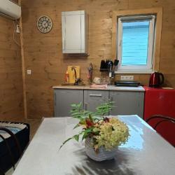 Фото Отель Парк отдыха Лесное озеро