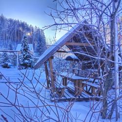 Фото Отель Радевичи