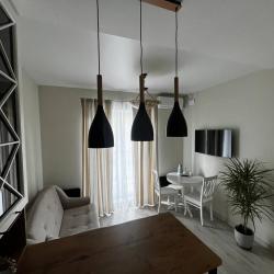 Фото Апартаменты на улице Чехова