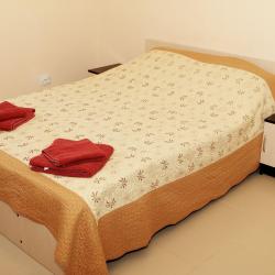 Фото Апартаменты на переулке Салтыкова-Щедрина