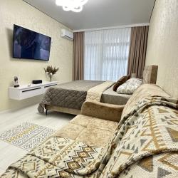 1-комнатные апартаменты стандарт