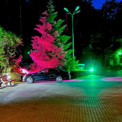 Фото Отель Поместье Медведевых