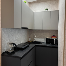 2-комнатные апартаменты стандарт город Омск, улица Масленикова, дом 82 (2-к квартира 55 кв.м)