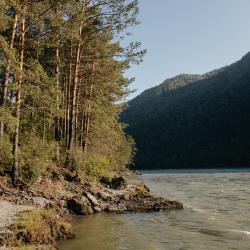 Фото Отель Alteria (Алтерия)