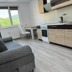 1-комнатные апартаменты улучшенные