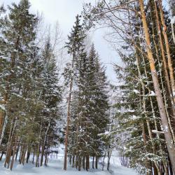 Фото Отель Канада