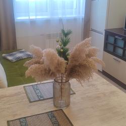 Фото Апартаменты на улице Ядринцева