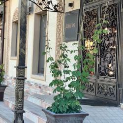 Фото Отель Zahid Inn (Захид Инн)