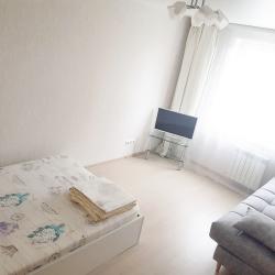Фото Апартаменты на улице Пирогова 1к3