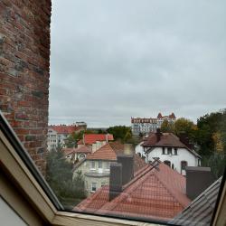 Номер люкс (мансарда)