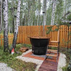 Фото Отель Лесовик