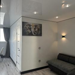 Апартаменты улучшенные проспект 100-летия 163