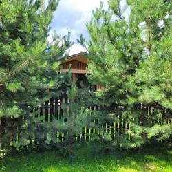 Фото Отель Домики на Луговом