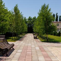 Фото Отель Берёзка