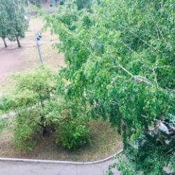 Фото Апартаменты на улице Мира 111