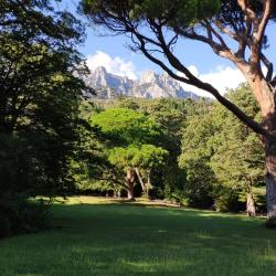 Фото Отель Горы и море