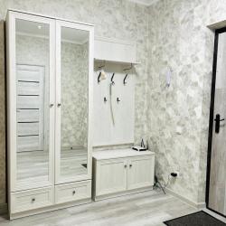 1-комнатные апартаменты улучшенные Дмитрия Мартынова,43