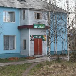 Фото Отель Лесная