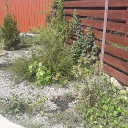 Фото Отель Фил Хаус