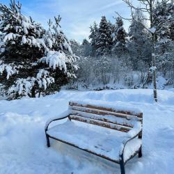 Фото Отель Ohta Park Suite 17 (Охта Парк Сьют 17)