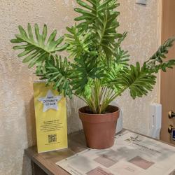 Фото Отель Жемчужная Лагуна