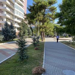 2-комнатные апартаменты улучшенные