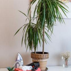 Фото Отель SmolSutki на проспекте Гагарина 19