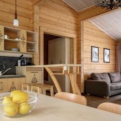 Фото Отель Охта Парк коттеджи