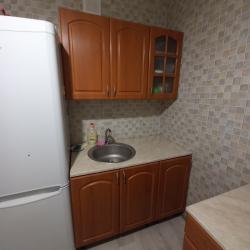 Фото Апартаменты на проспекте Запсибовцев 12