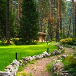 Фото Отель Grand Chalet Altay ZONT Hotel Group (Гранд Шале Алтай)