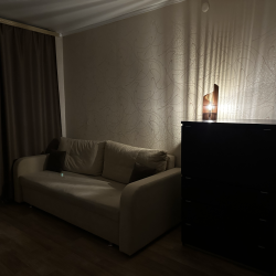 Фото Апартаменты на улице Мусина