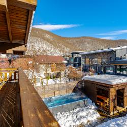 Шале с сауной и бассейном на 12 гостей