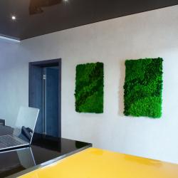 Фото Отель LeSHinn (ЛеШинн)