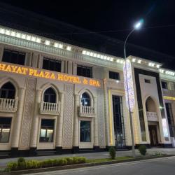 Фото Отель Hayat Plaza Hotel & Spa (Хаят Плаза и Спа)