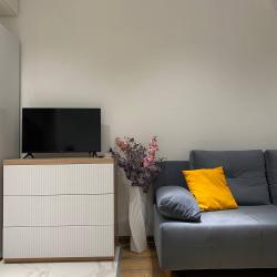 Фото Отель Li Apartments на проспекте Новонский 4А