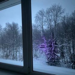 Фото Отель Лапландия