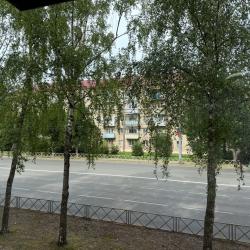 Фото Апартаменты на проспекте Ленина 183