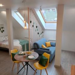 1-комнатные апартаменты студия (мансарда)