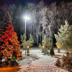Фото Отель Алино