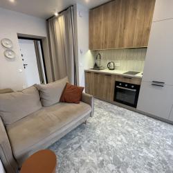 Фото Отель Дизайнерская квартира у Летнего озера