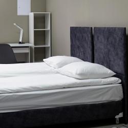 Фото Отель Симбиот