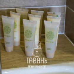 2-комнатные апартаменты делюкс