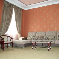 Фото Отель Firuz (Фируз)