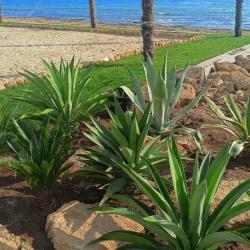 Фото Отель Семейная идиллия