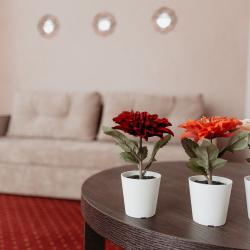 Фото Апартаменты на улице Школьная 36