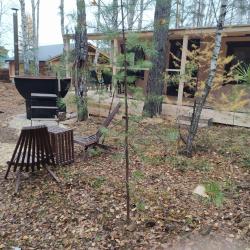DreamHouse Village (ДримХаус Вилладж) — 9704adad4d8a0842d2ef711f55324f2f