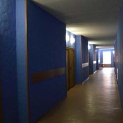 Фото Гостиница Всемирной Академии Самбо