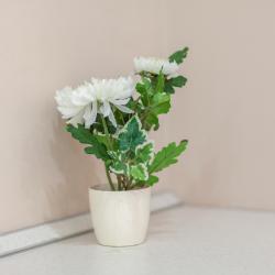 Фото Отель RentPlaza (РентПлаза) на улице Ленинская